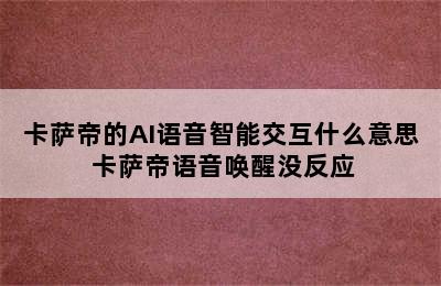 卡萨帝的AI语音智能交互什么意思 卡萨帝语音唤醒没反应